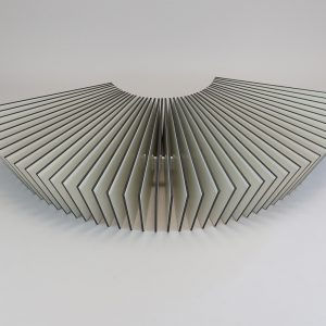 spine