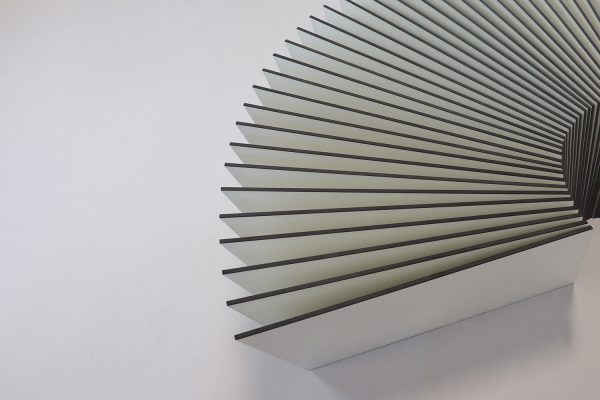 spine – Bild 3