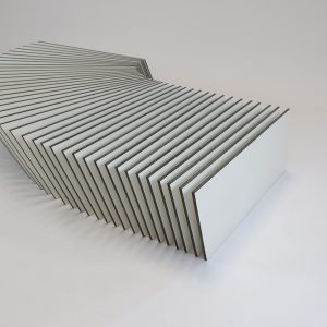 spine