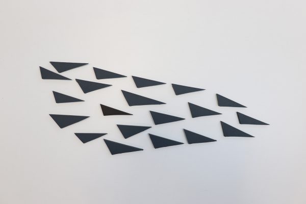 swarm – Bild 5