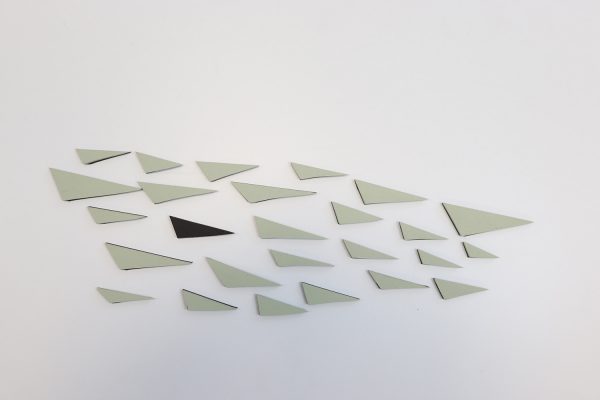 swarm – Bild 6